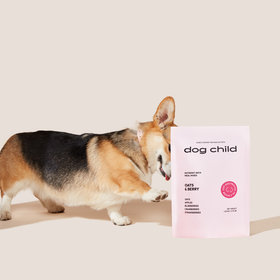 Dog Child