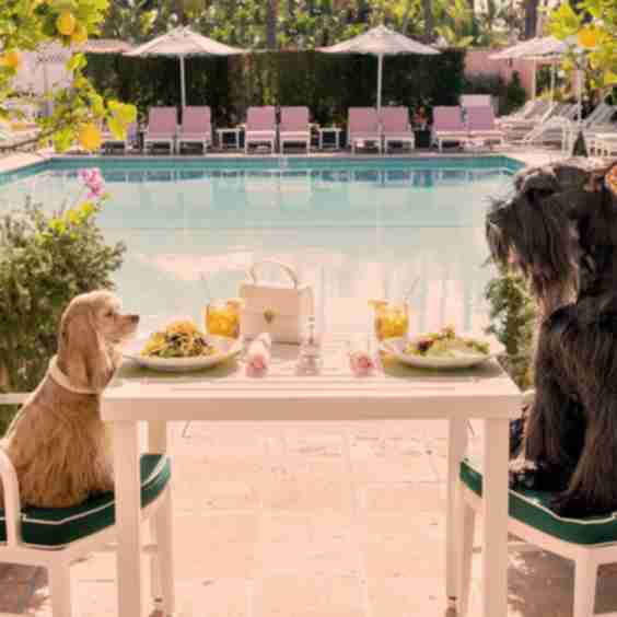 Table For Two, The Beverly Hills Hotel