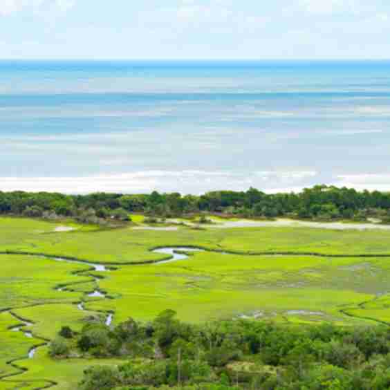 Coastal Marsh Georgia