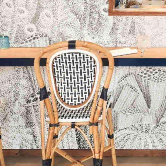 Casa Grande Ratten Reviews