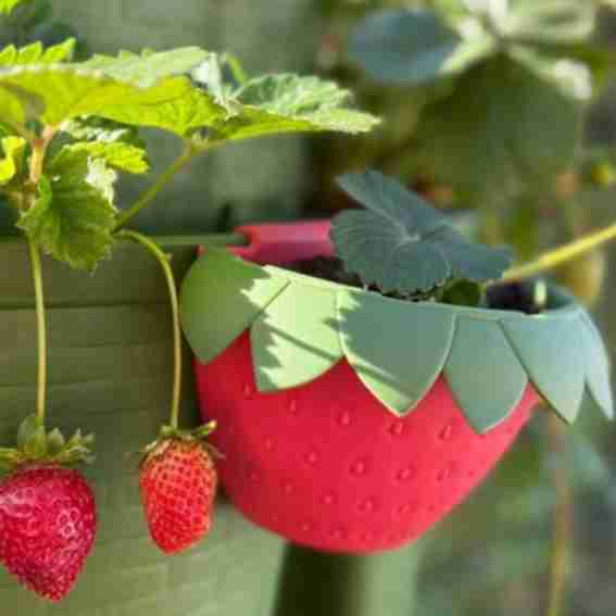 GreenStalk Garden Reviews