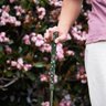 Cloud & Wind Golf