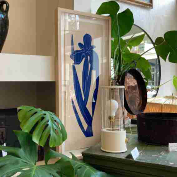 Anna Koeferl Reviews