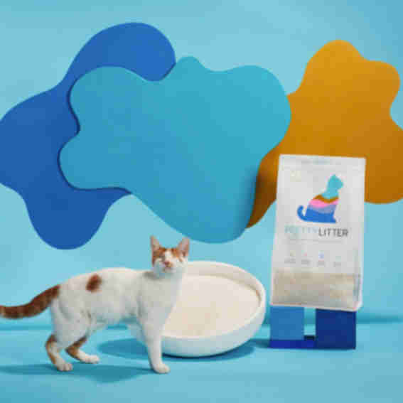 Pretty kitty litter reviews clearance