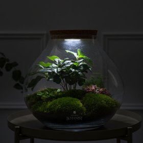 The Urban Botanist
