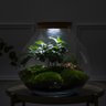 The Urban Botanist