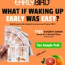 EarlyBird