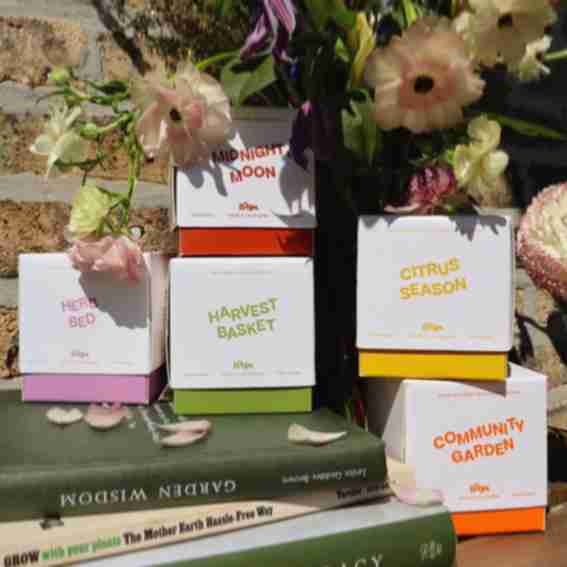 Loam Candles Reviews