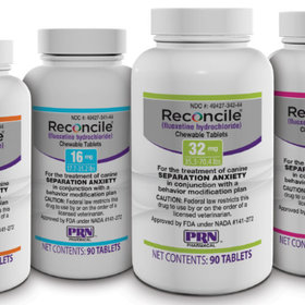 Reconcile (fluoxetine hydrochloride)