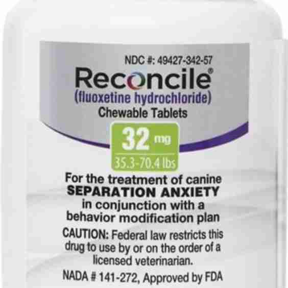 Tablets for Dogs