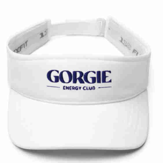 Visor