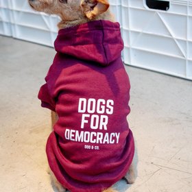 Dog & Co.