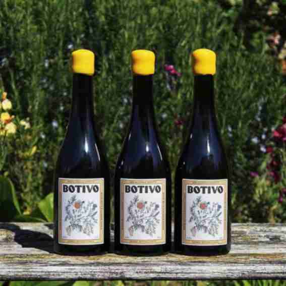 Botivo Drinks Reviews
