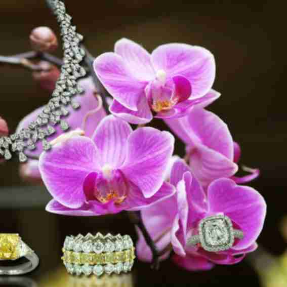Diamond Scene Reviews