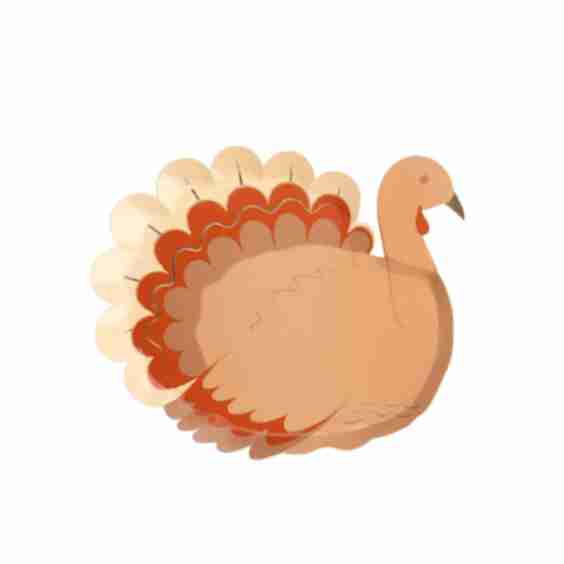 Harvest Turkey Dessert Paper Plates