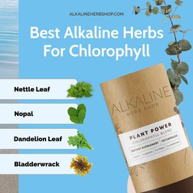Alkaline Herb Shop