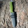 Victorinox