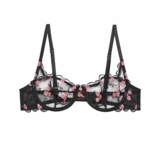 Rose & Vine Embroidery Balconette Bra