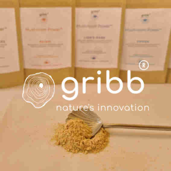 Gribb  Reviews