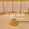 Gribb 