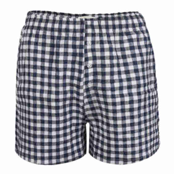 Linen Gingham Boxer Shorts 