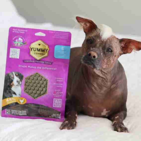 Pet's Best Life Reviews