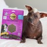 Pet's Best Life