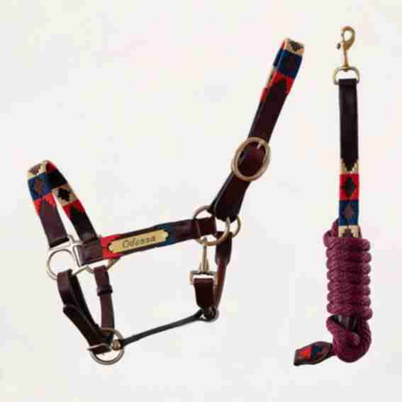Happy Colour Equestrian Reviews