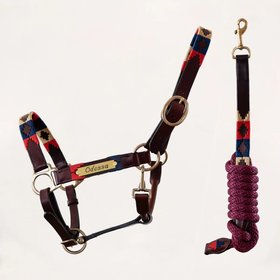 Happy Colour Equestrian