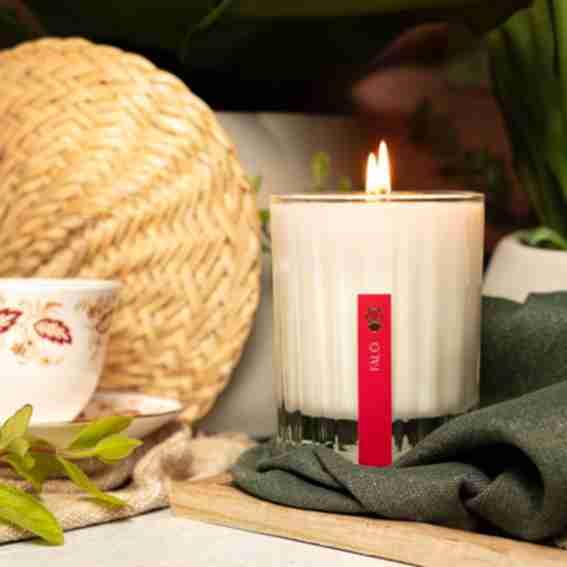Apollo Candles New York Reviews