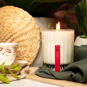 Apollo Candles New York