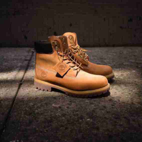 Timberland Reviews
