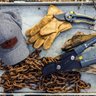 Woodland Tools