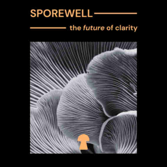Sporewell Reviews