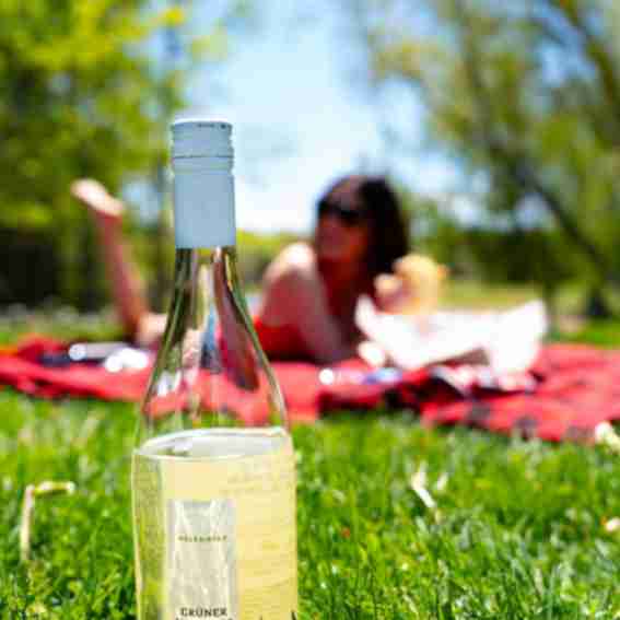 Holesinsky Winery & Vineyard Reviews