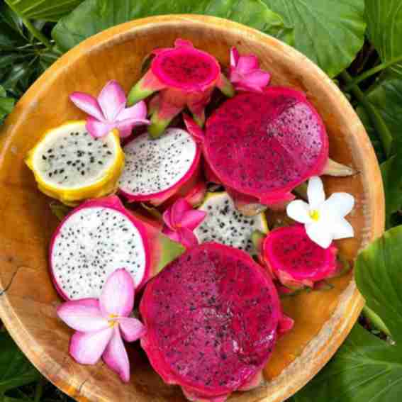 Miami Fruit Reviews