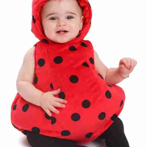 Ladybug Costume