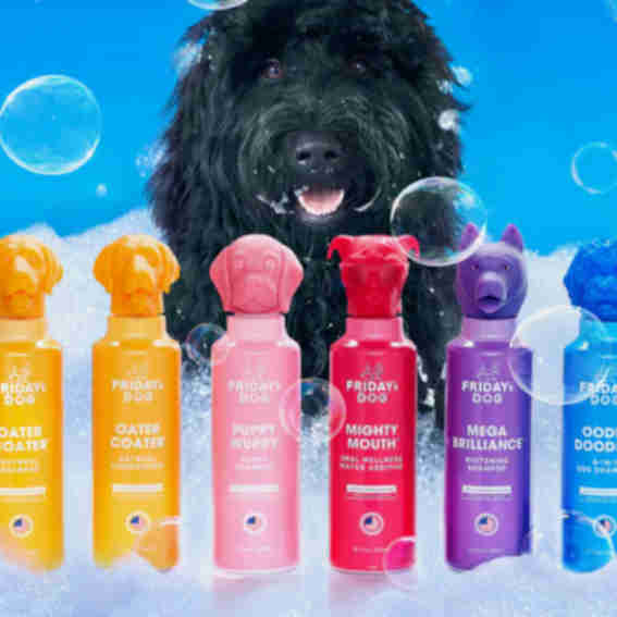 Friday's Dog Reviews