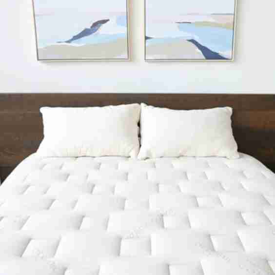 Eos Trilux Organic Latex Mattress