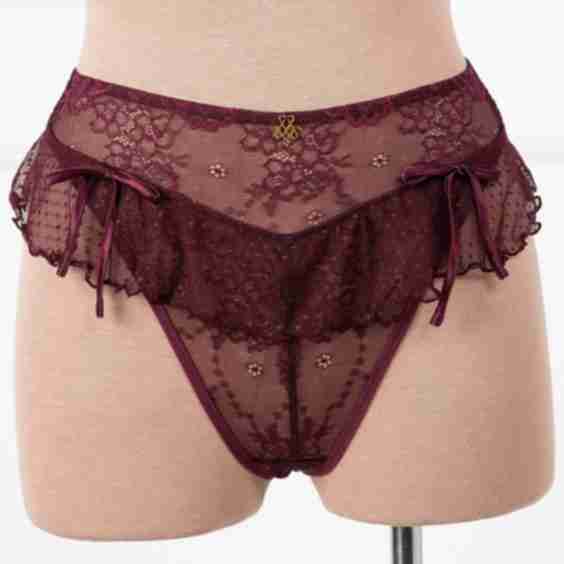 Lace & Mesh Corset Waist Panty 