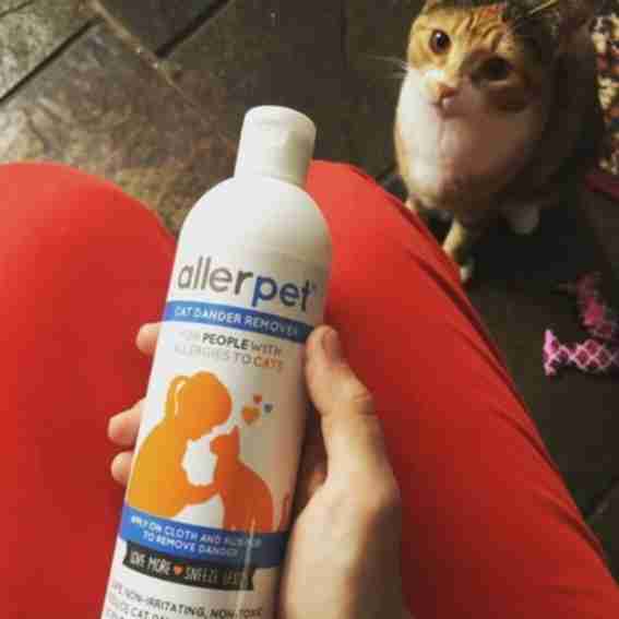 Allerpet Reviews