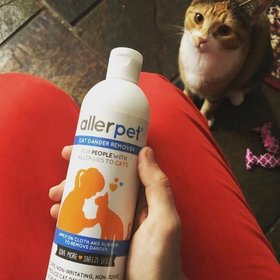 Allerpet