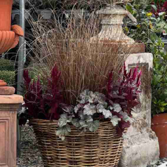Detroit Garden Works Reviews