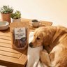 Ms. Beans Pet Boutique