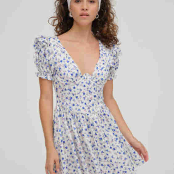 Paulina Puff Sleeve Mini Dress