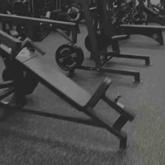 Barbell Standard Reviews