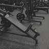 Barbell Standard