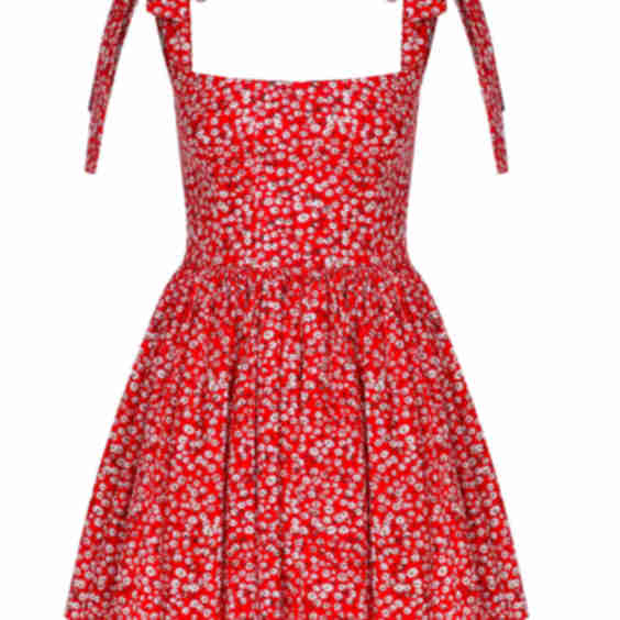 Audree Floral Print Poplin Mini Dress 