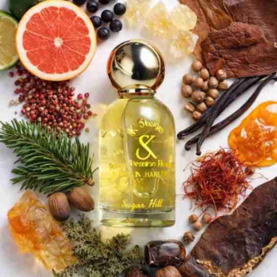 Koromas Aromas Reviews