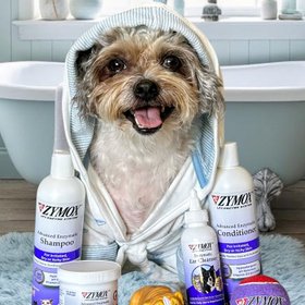 Zymox
